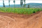 PLOT FOR SALE IN KIGALI AHOKIRI RUSORORO